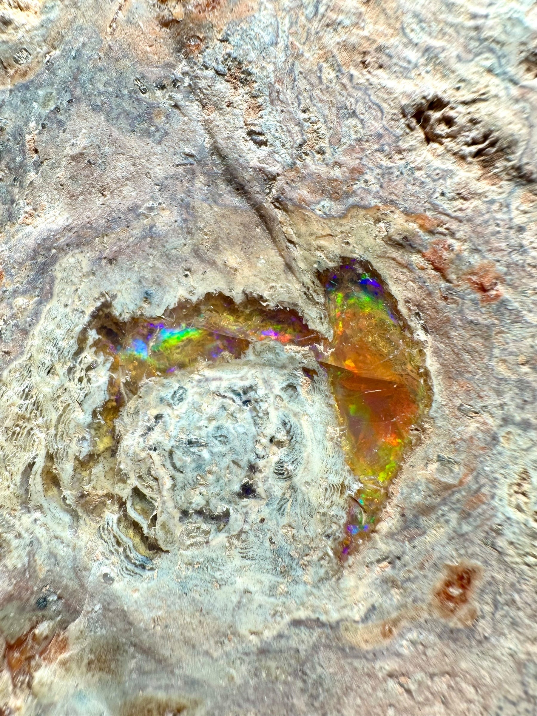 Fire opal – Queretaro, Mexico - OH006