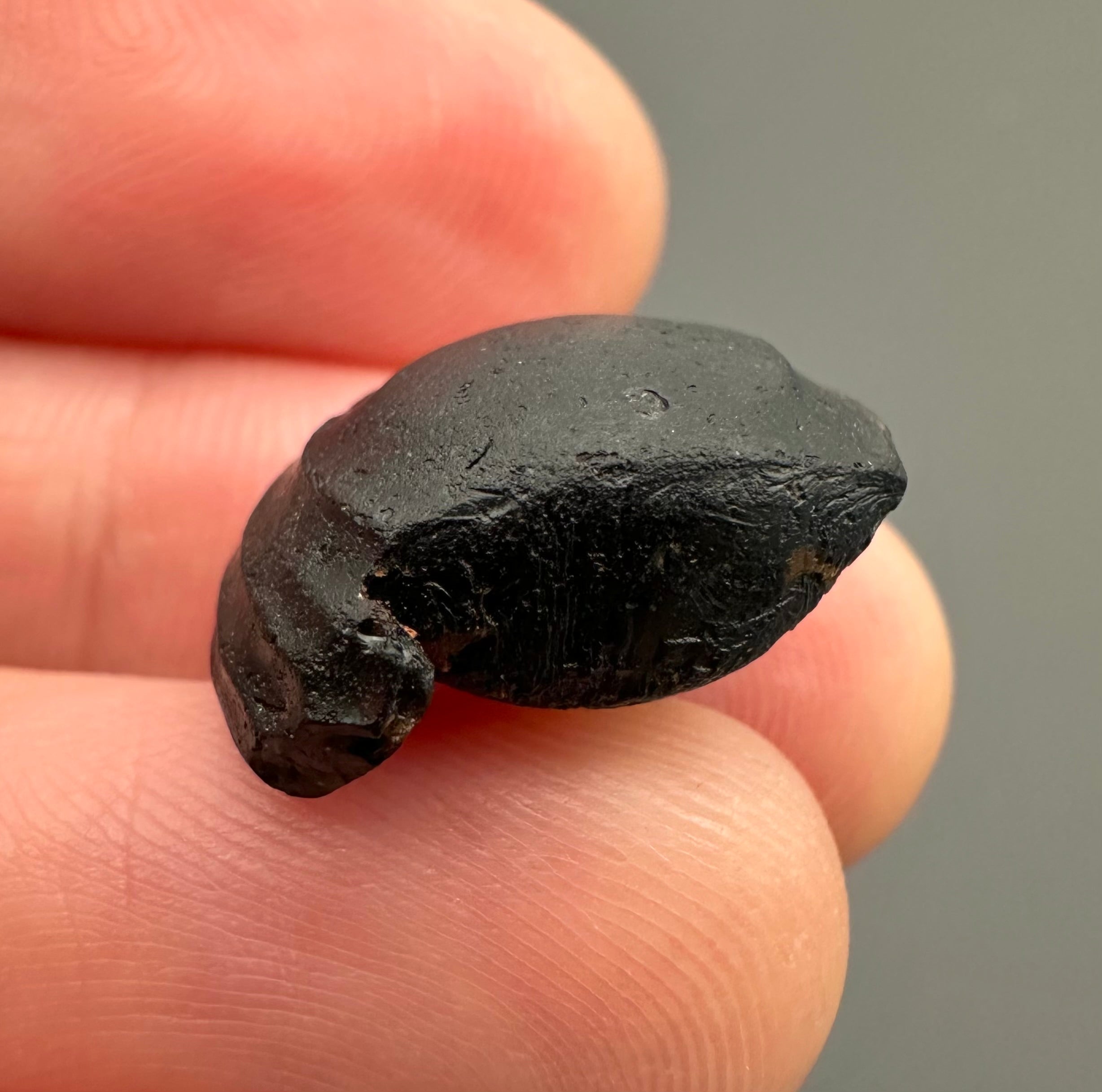 Australite "button" 1,8g – Kalgoorlie, Western Australia - AU018