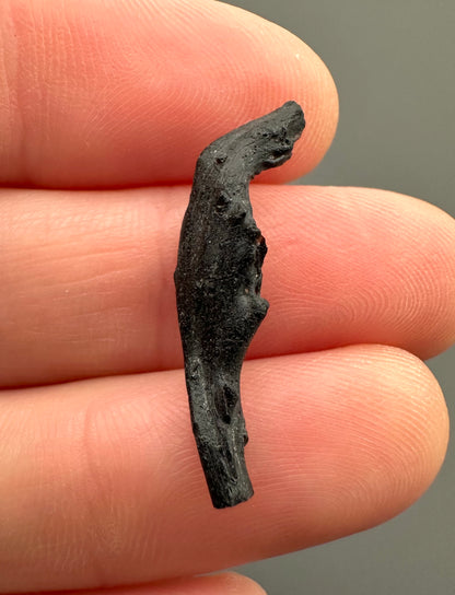 Irgizite – Zhamanshin, Kazakhstan – IR022