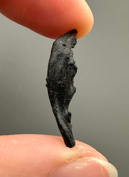 Irgizite – Zhamanshin, Kazakhstan – IR022
