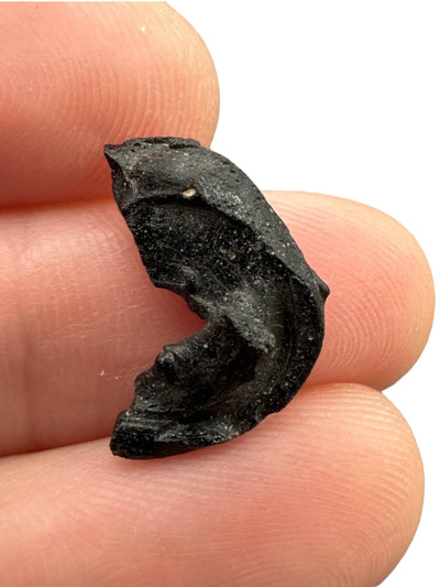 Irgizite