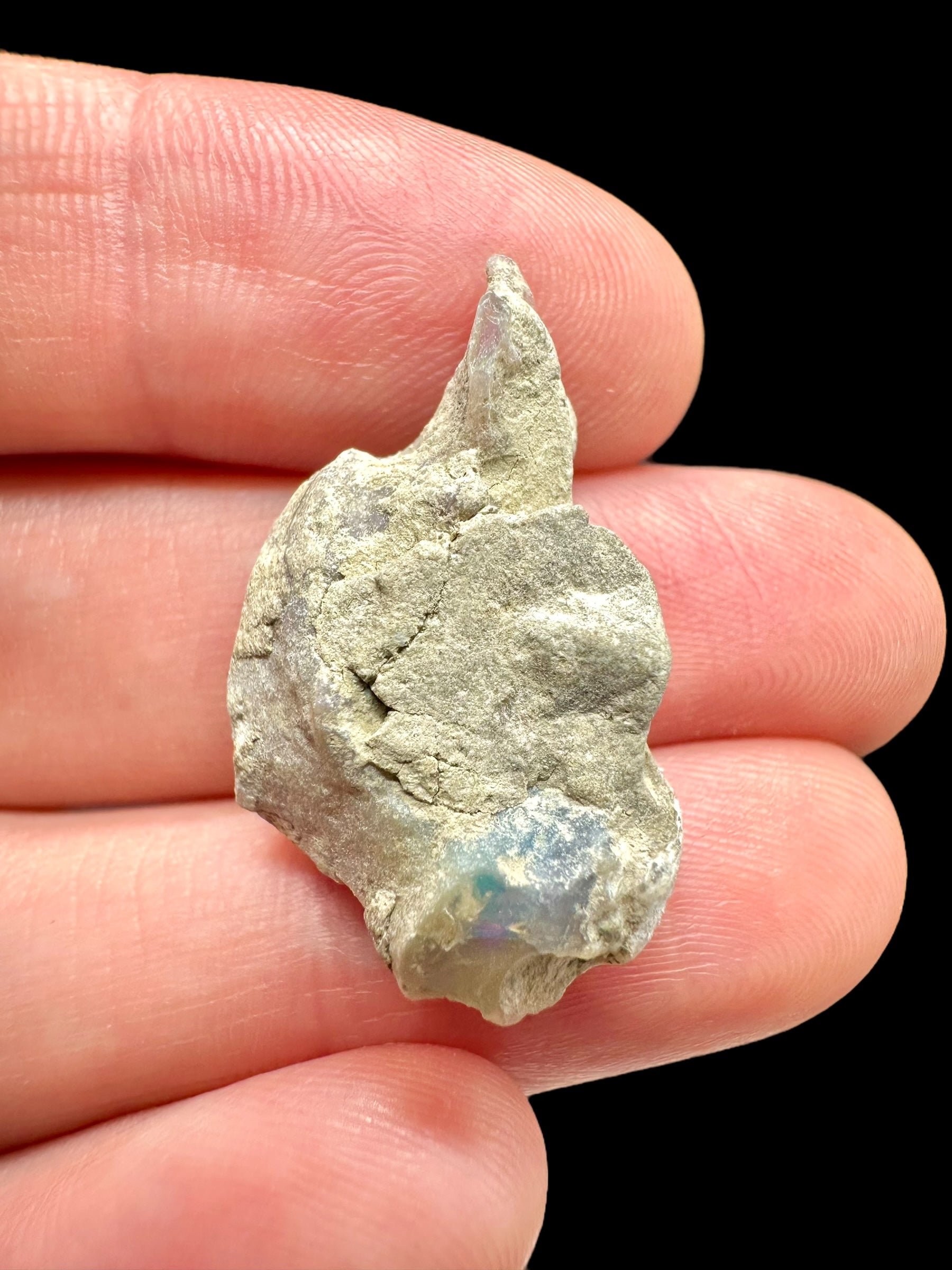 Precious opal 11,5ct – Welo, Ethiopia - OP150