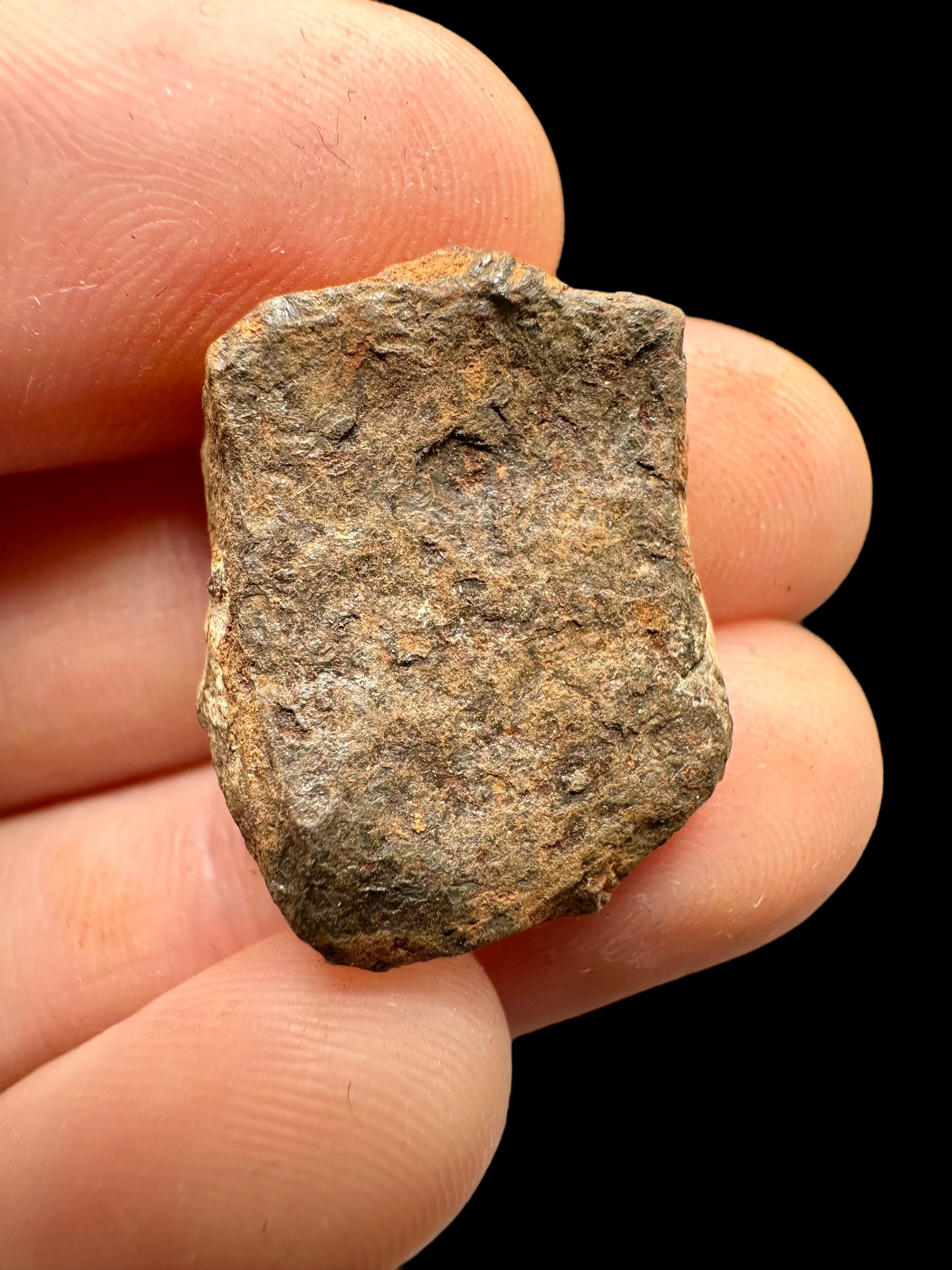 Meteorite Mundrabilla 11,8g – Nullarbor plain, Australia