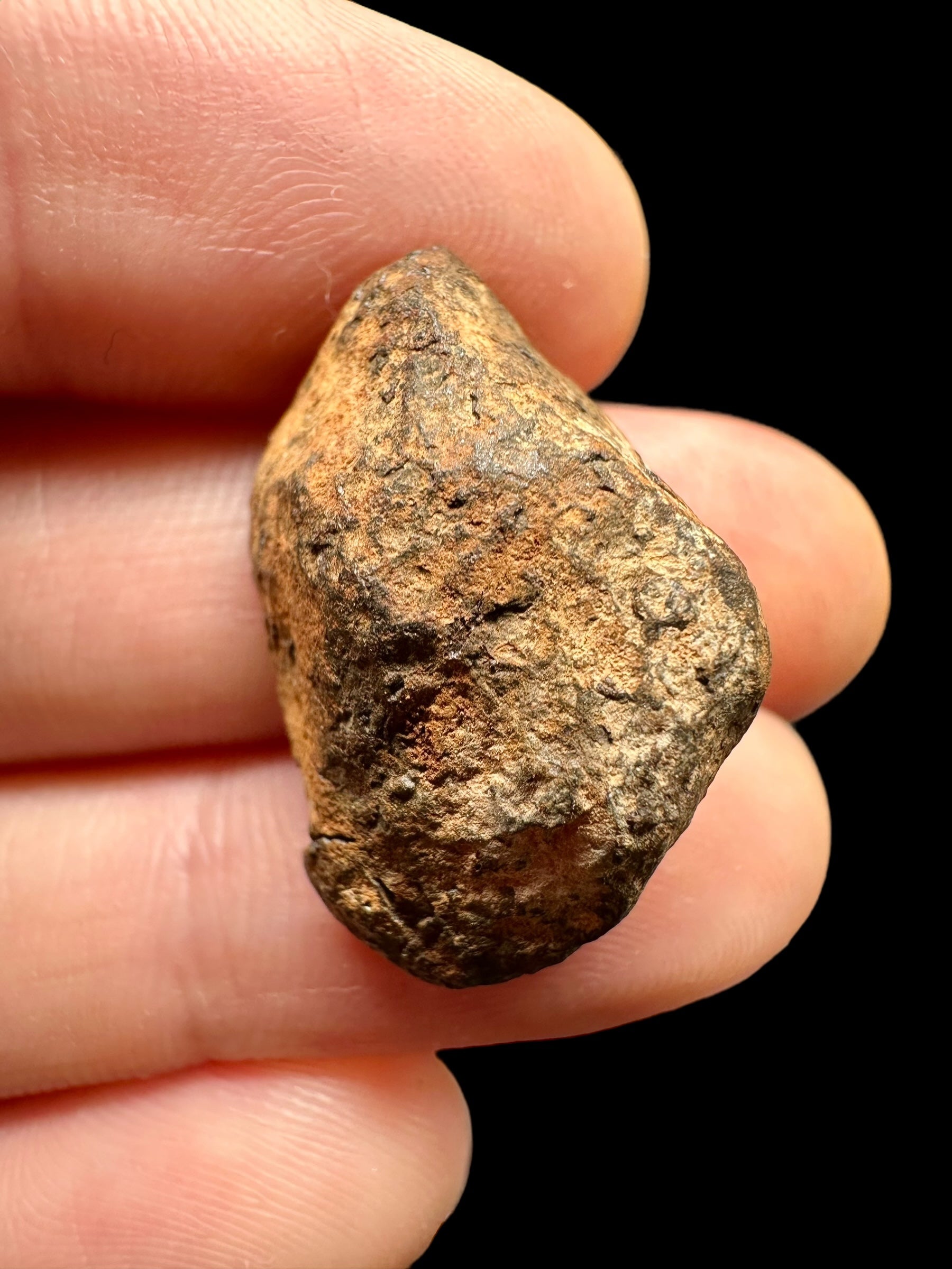 Meteorite Mundrabilla 14,7g – Nullarbor plain, Australia - MEMU13