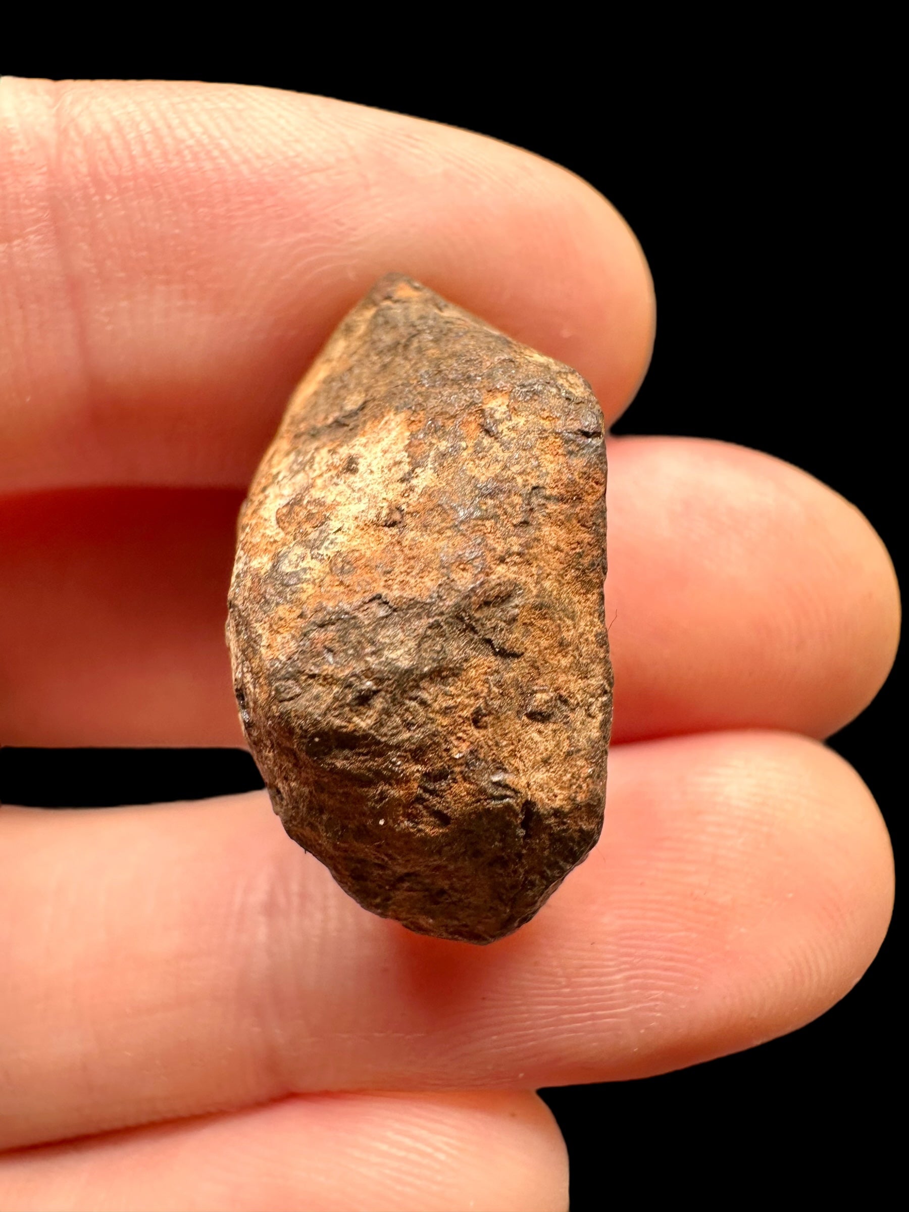 Meteorite Mundrabilla 14,7g – Nullarbor plain, Australia - MEMU13