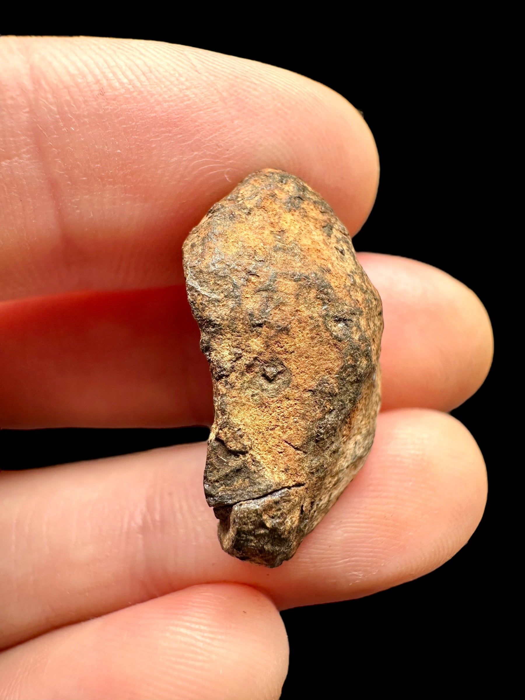 Meteorite Mundrabilla 14,7g – Nullarbor plain, Australia - MEMU13
