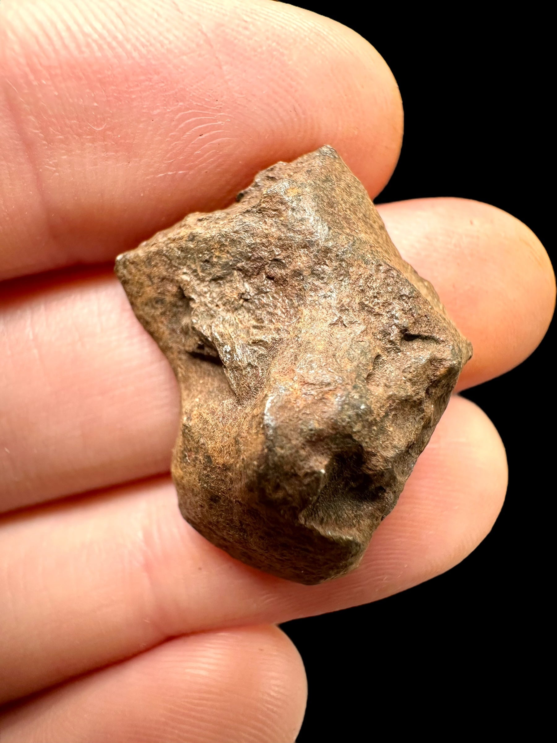 Meteorite Mundrabilla – Nullarbor plain, Australia – MEMU15