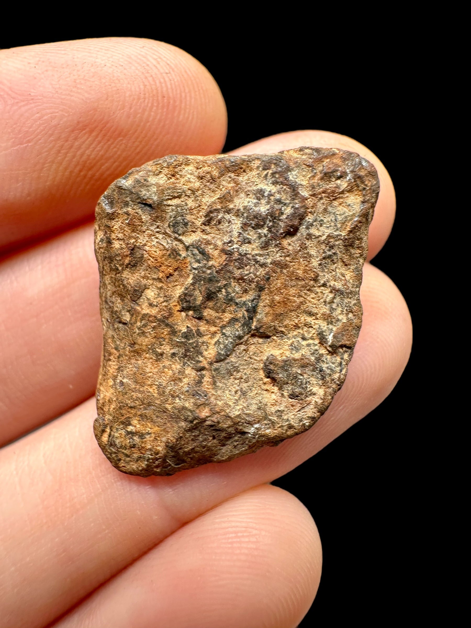 Meteorite Mundrabilla 10,7g – Nullarbor plain, Australia - MEMU19