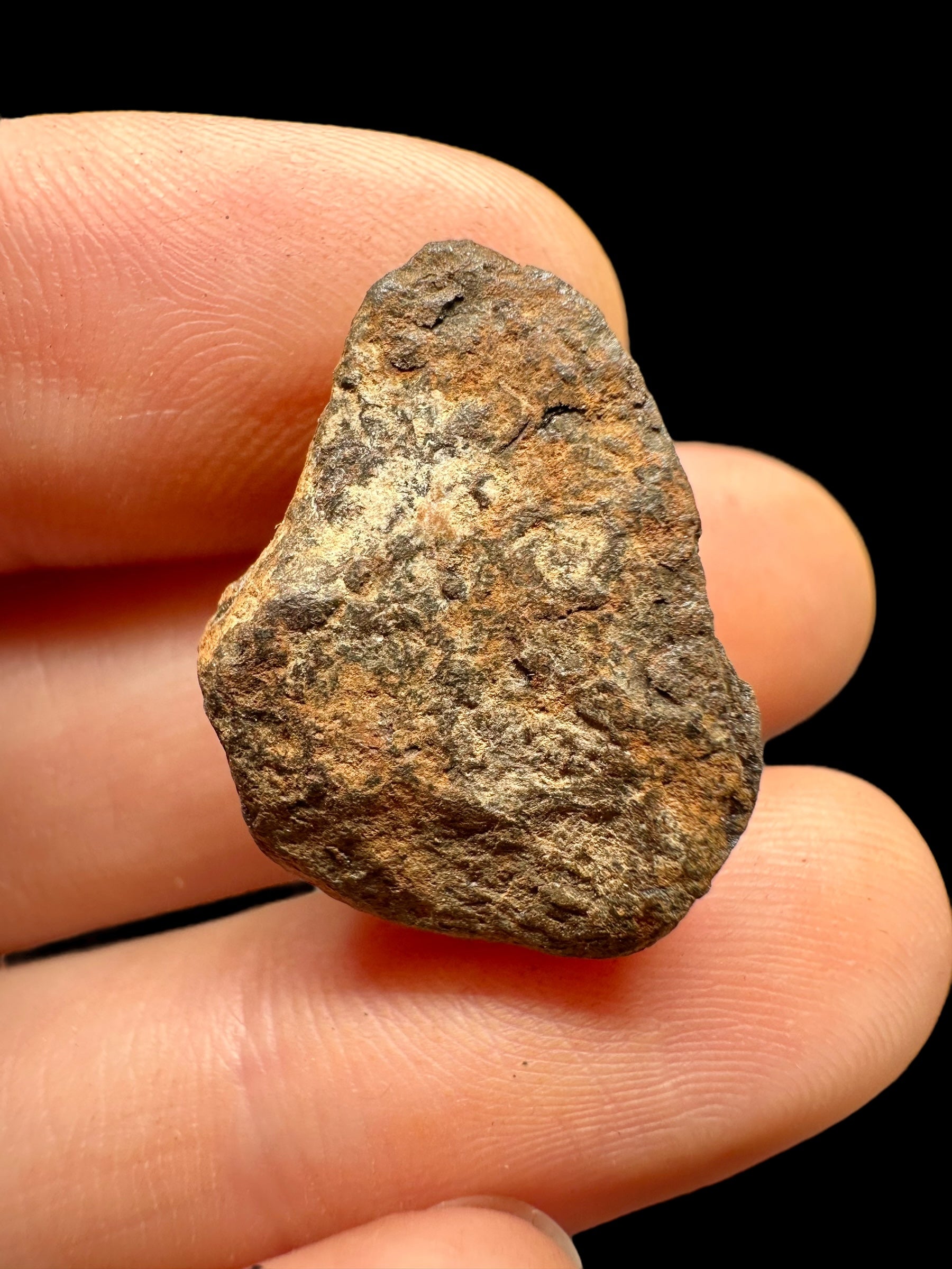 Meteorite Mundrabilla 11,4g – Nullarbor plain, Australia