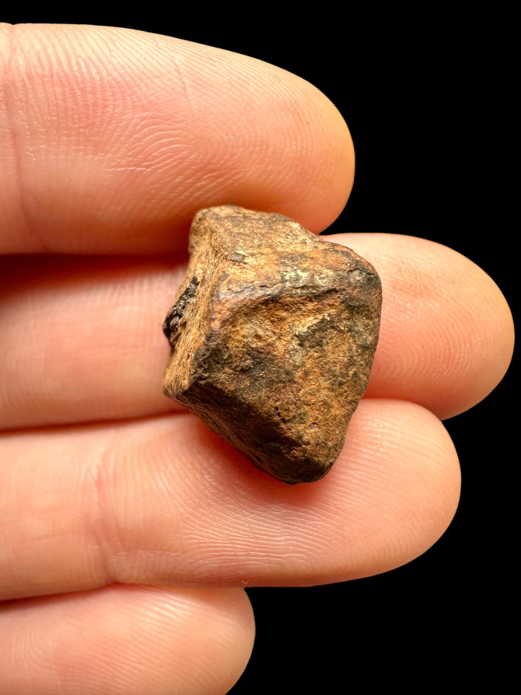 Meteorite Mundrabilla 7,8g – Nullarbor plain, Australia - MEMU26