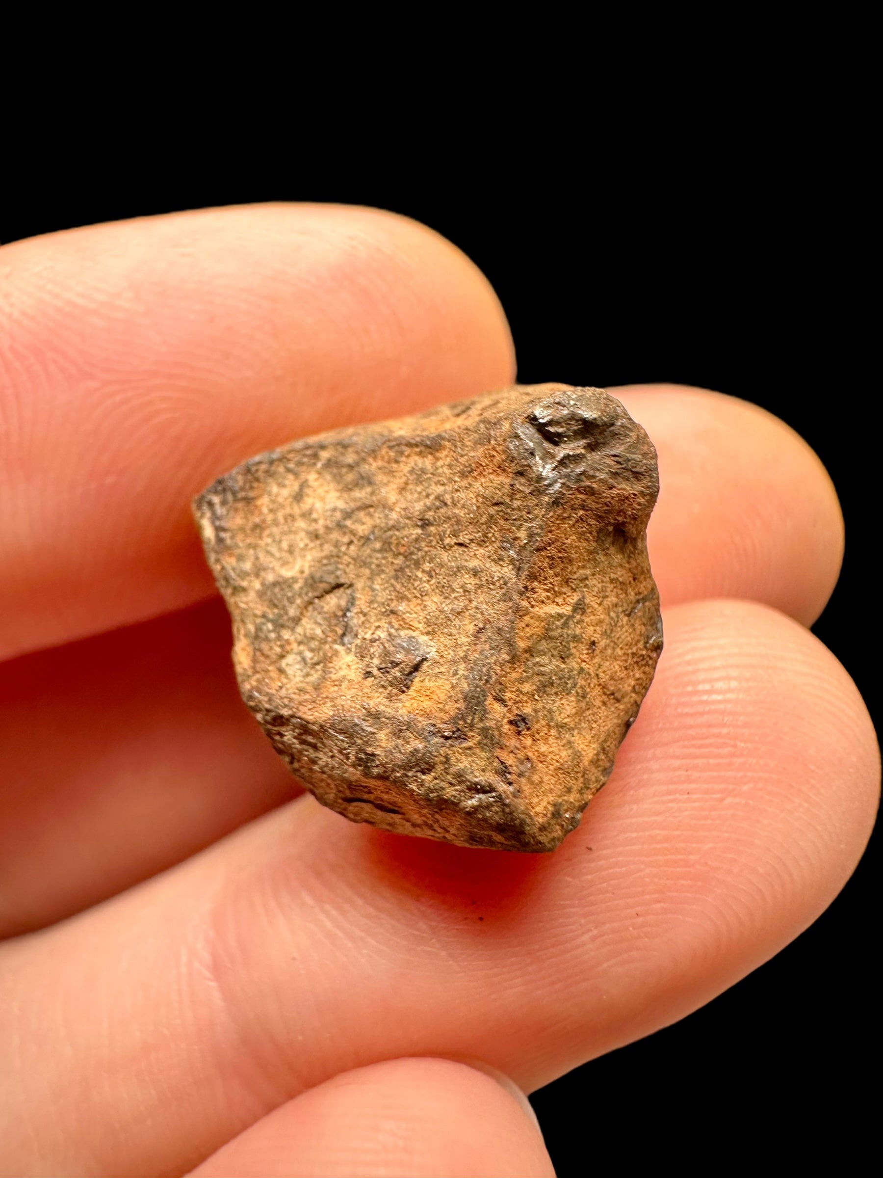 Meteorite Mundrabilla 9,8g – Nullarbor plain, Australia - MEMU28