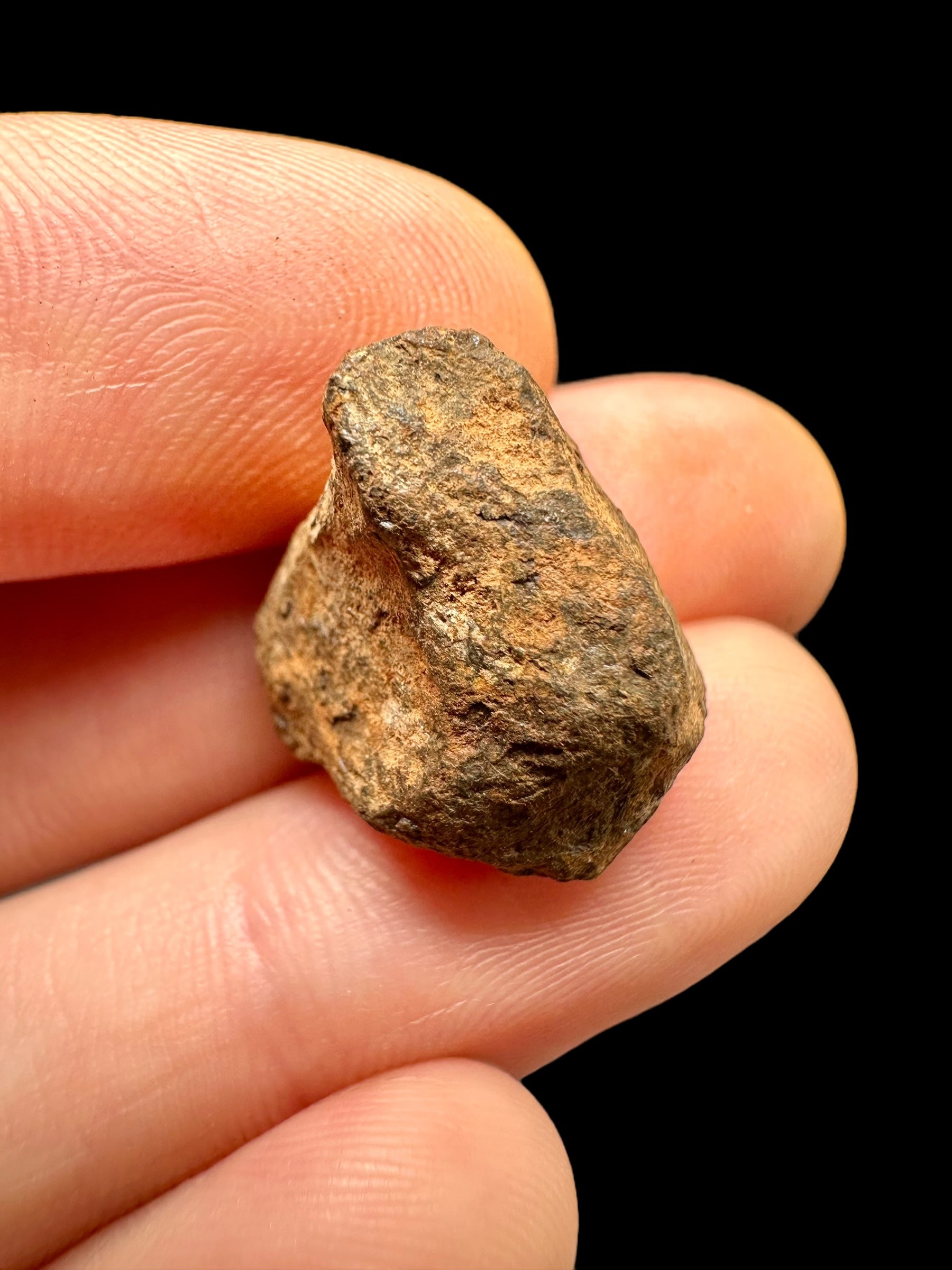 Meteorite Mundrabilla 9,8g – Nullarbor plain, Australia