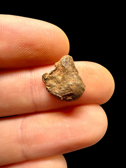 Meteorite Mundrabilla – Nullarbor plain, Australia – MEMU32