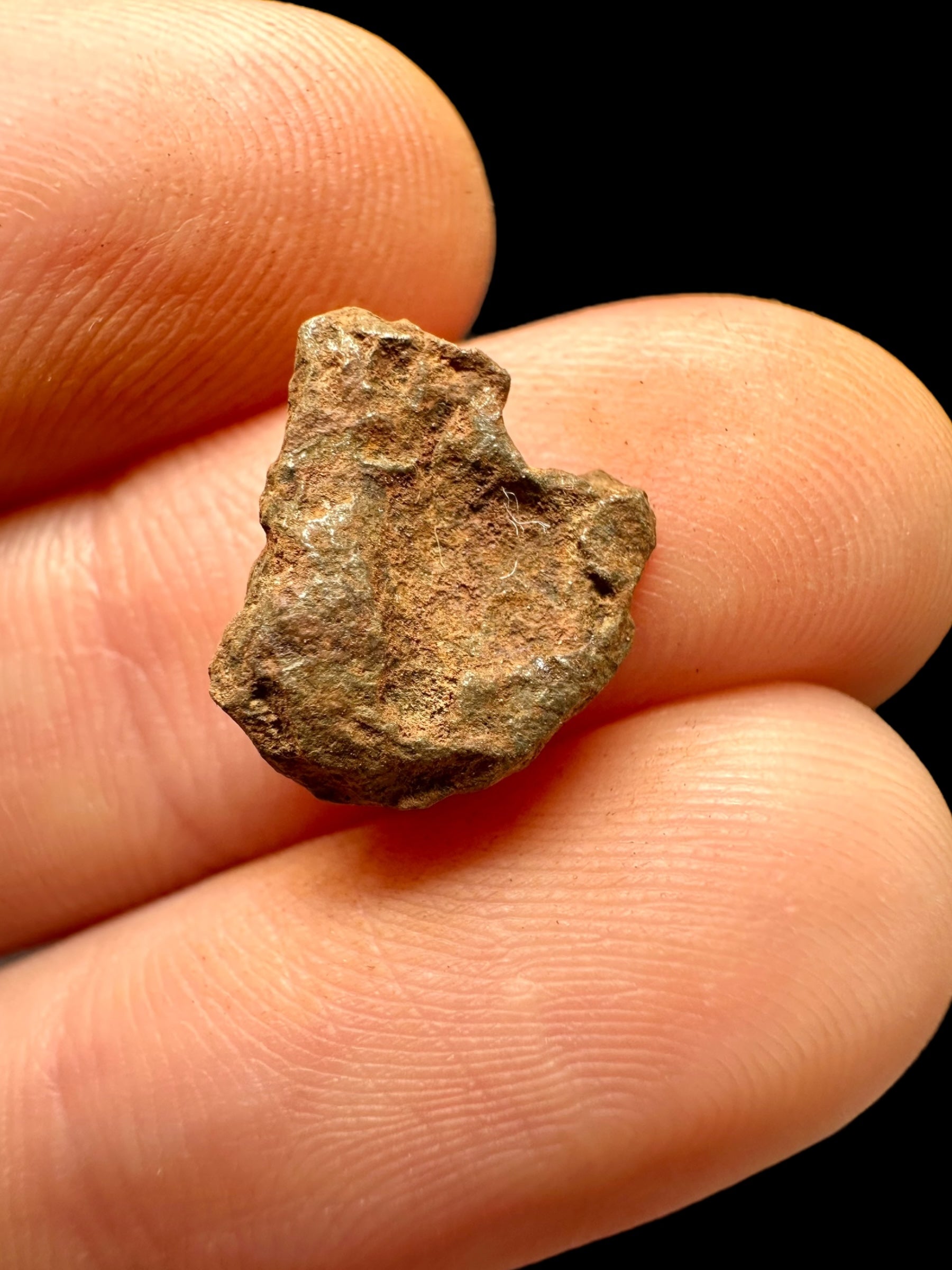 Meteorite Mundrabilla – Nullarbor plain, Australia – MEMU32