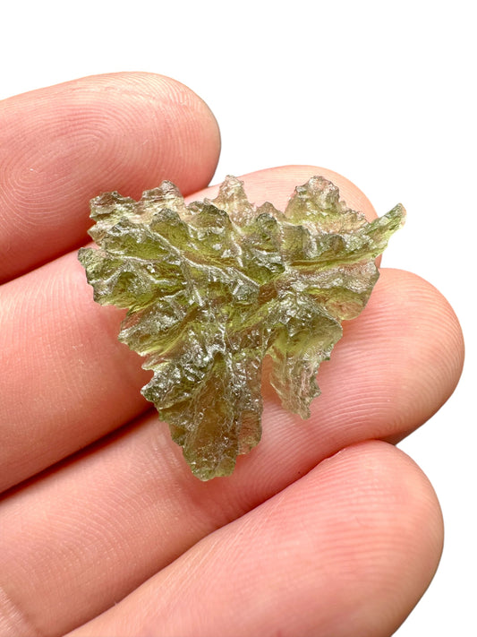 Moldavite - Besednice - Jezkovna - 1,7g - BJ002