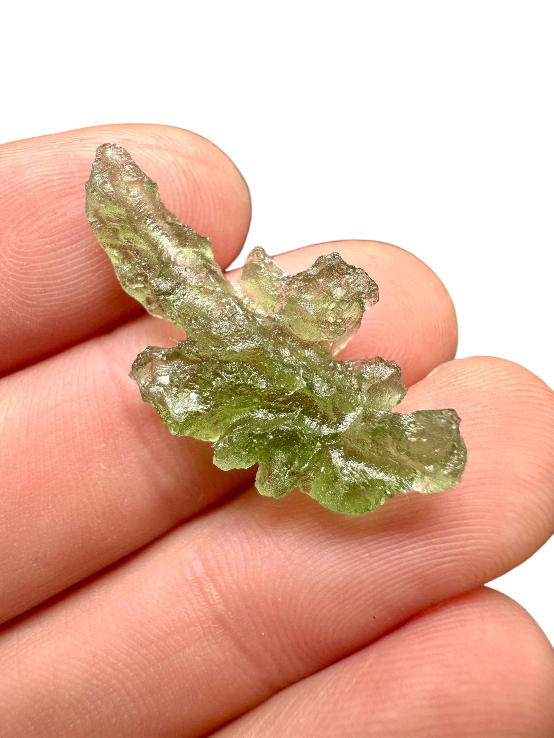 Moldavite – Besednice Jezkovna – 1,9g - BJ250