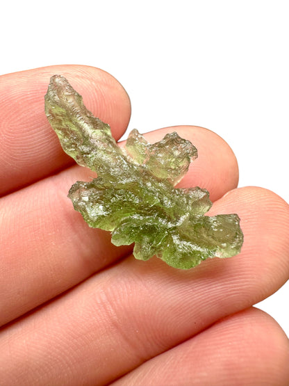 Moldavite - Besednice - Jezkovna - 1,9g - BJ004