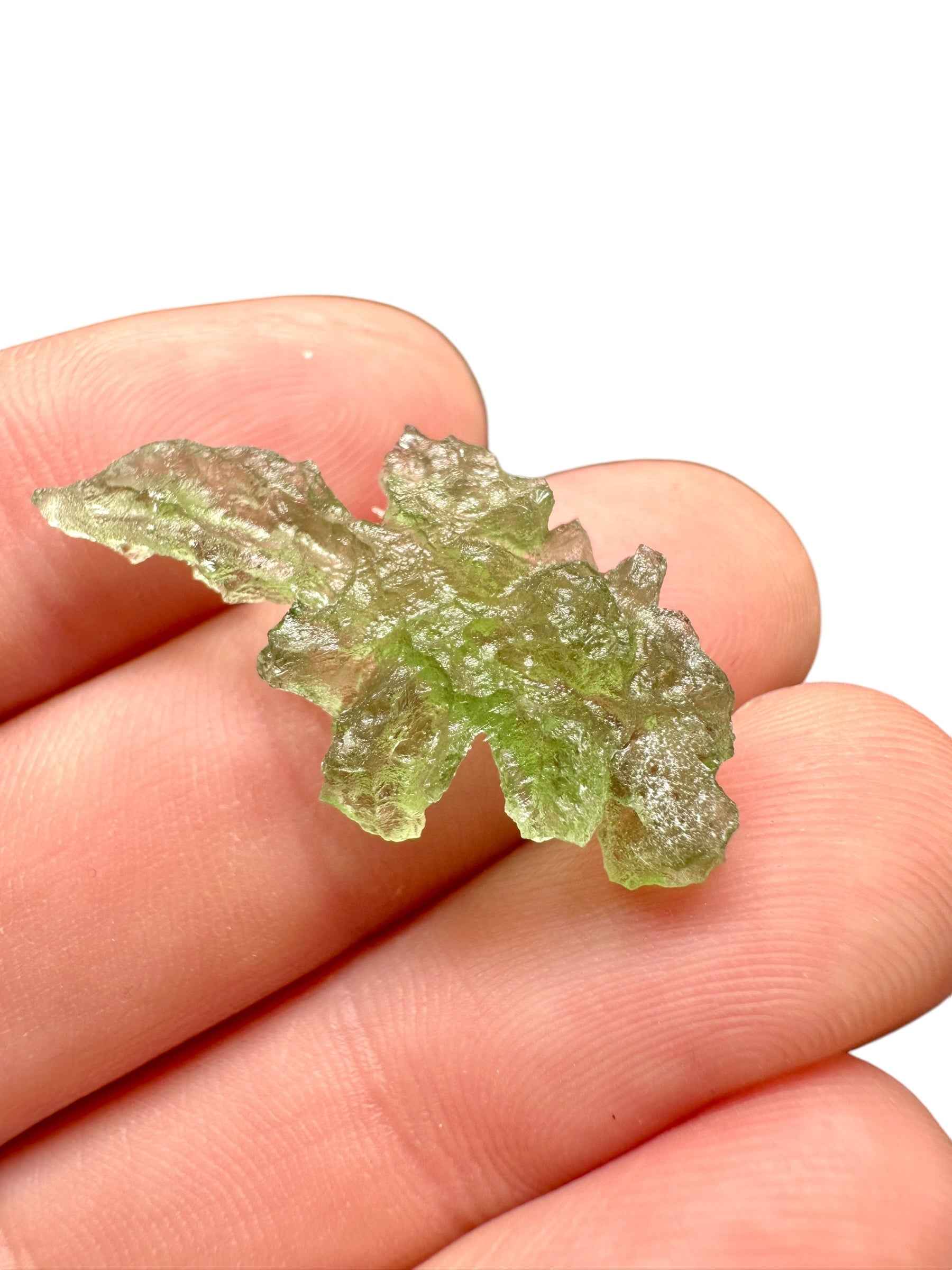 Moldavite – Besednice Jezkovna – 1,9g - BJ250