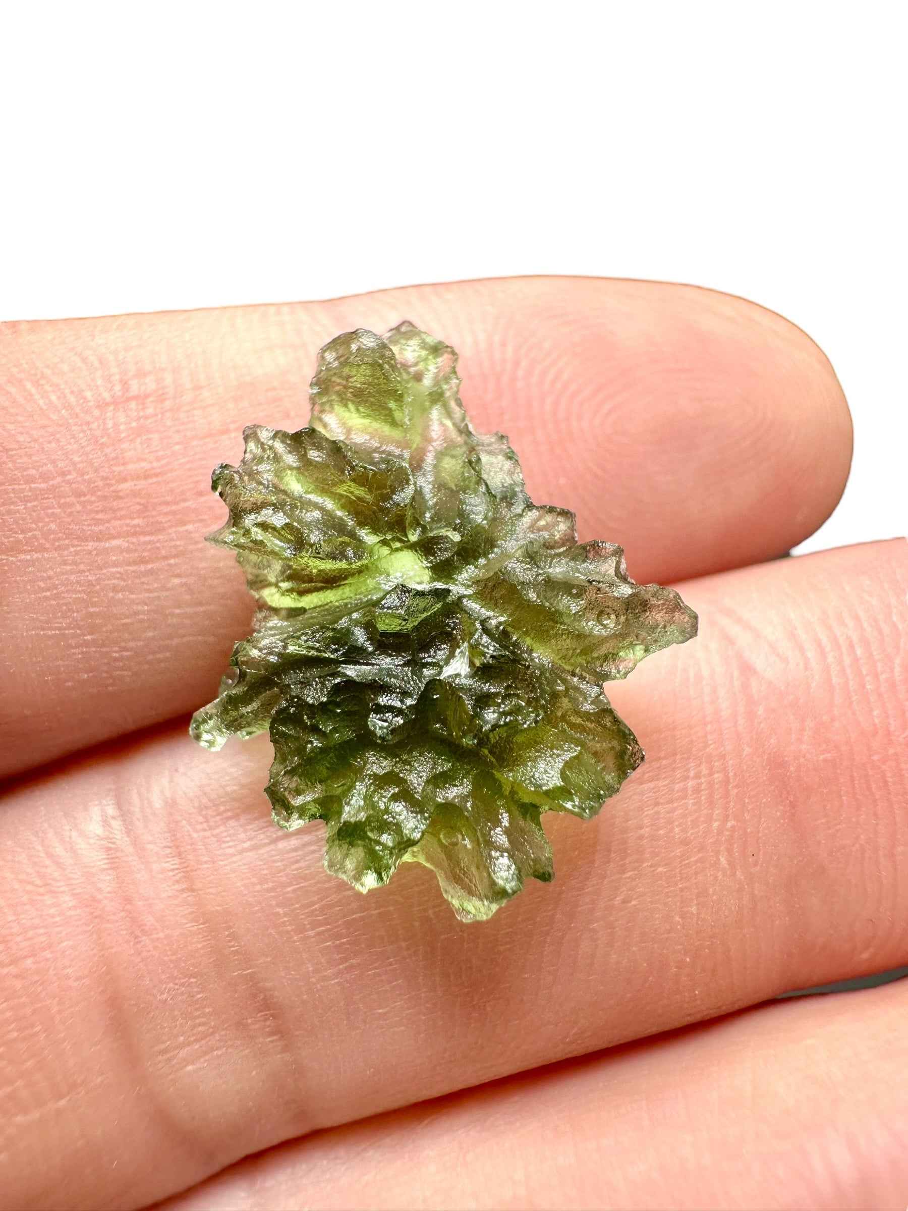 Moldavite – Besednice Jezkovna – 1,6g - BJ249