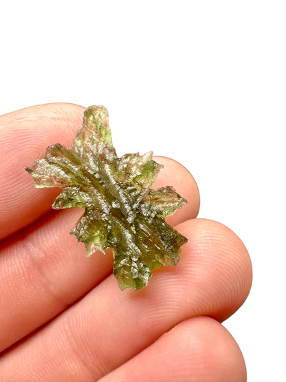 Moldavite - Besednice - Jezkovna - 1,5g - BJ012