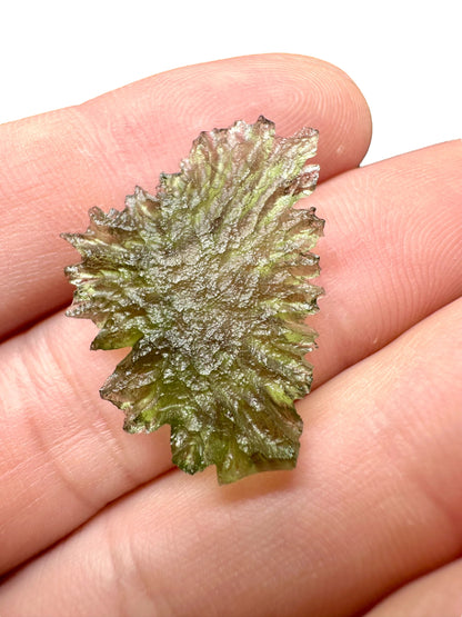 Moldavite - Besednice - Jezkovna - 1,8g - BJ013