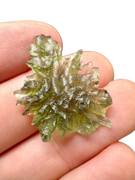 Moldavite - Besednice - Jezkovna - 1,9g - BJ018