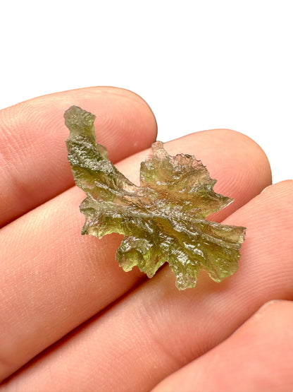 Moldavite - Besednice - Jezkovna - 1,3g - BJ024