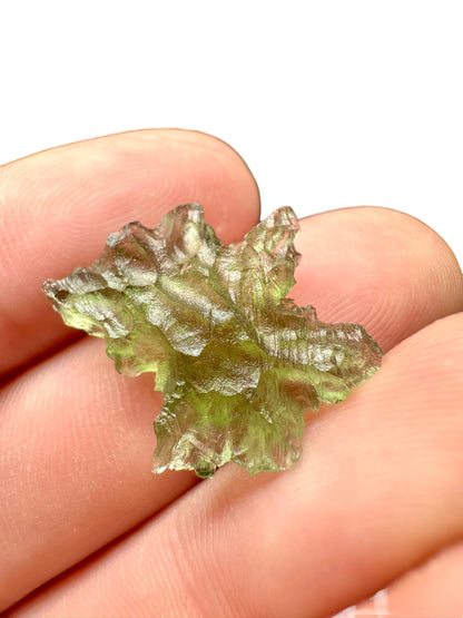 Moldavite – Besednice Jezkovna – 1,5g – BJ026