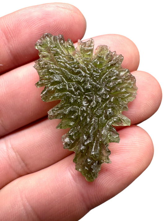 Moldavite - Besednice - Jezkovna - 4g - BJ031