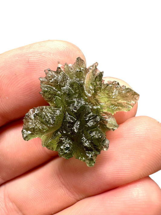 Moldavite - Besednice - Jezkovna - 3,5g - BJ036