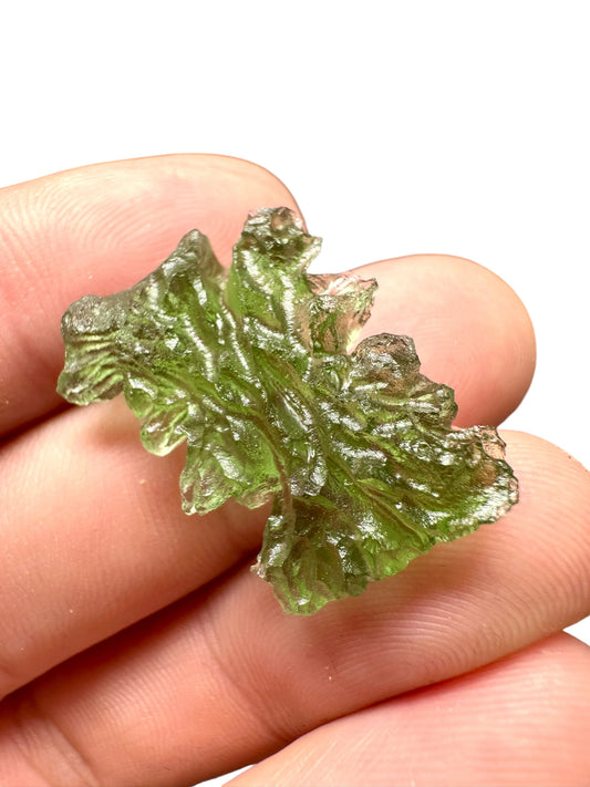 Moldavite – Besednice Jezkovna – 3g – BJ037