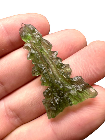 Moldavite - Besednice - Jezkovna - 3,3g - BJ044