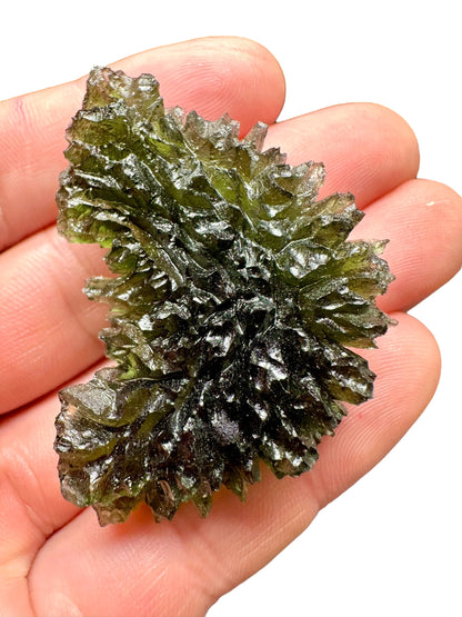 Moldavite – Besednice Jezkovna – 23,2g