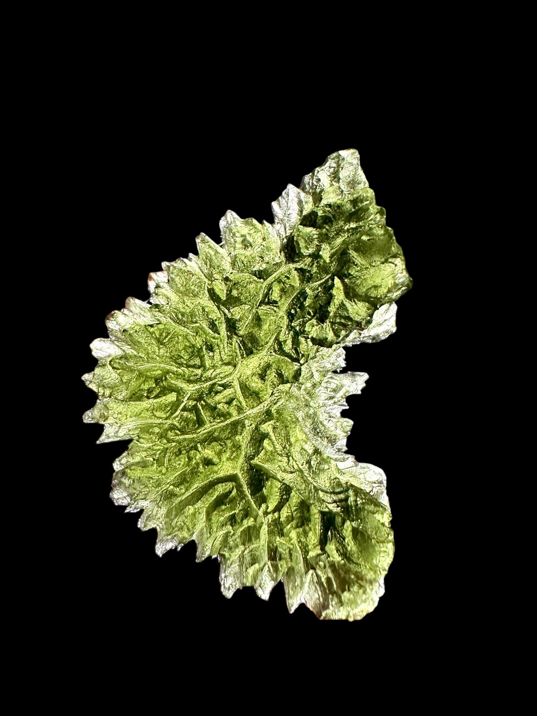 Moldavite – Besednice Jezkovna – 23,2g - BJ053