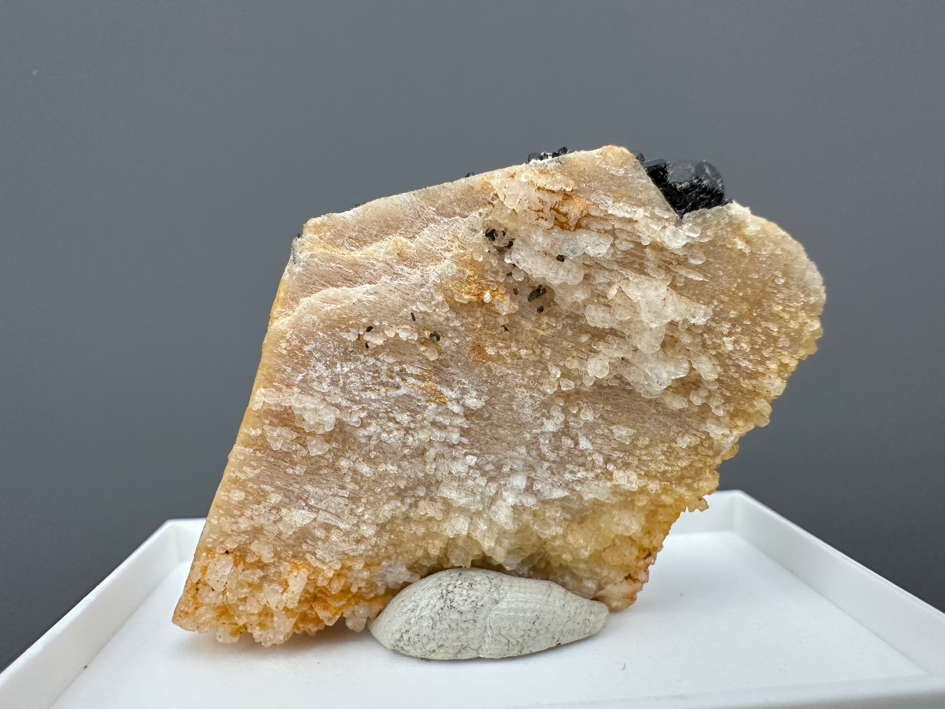 Schorl on albite – Dolni Bory, CZ - SK040