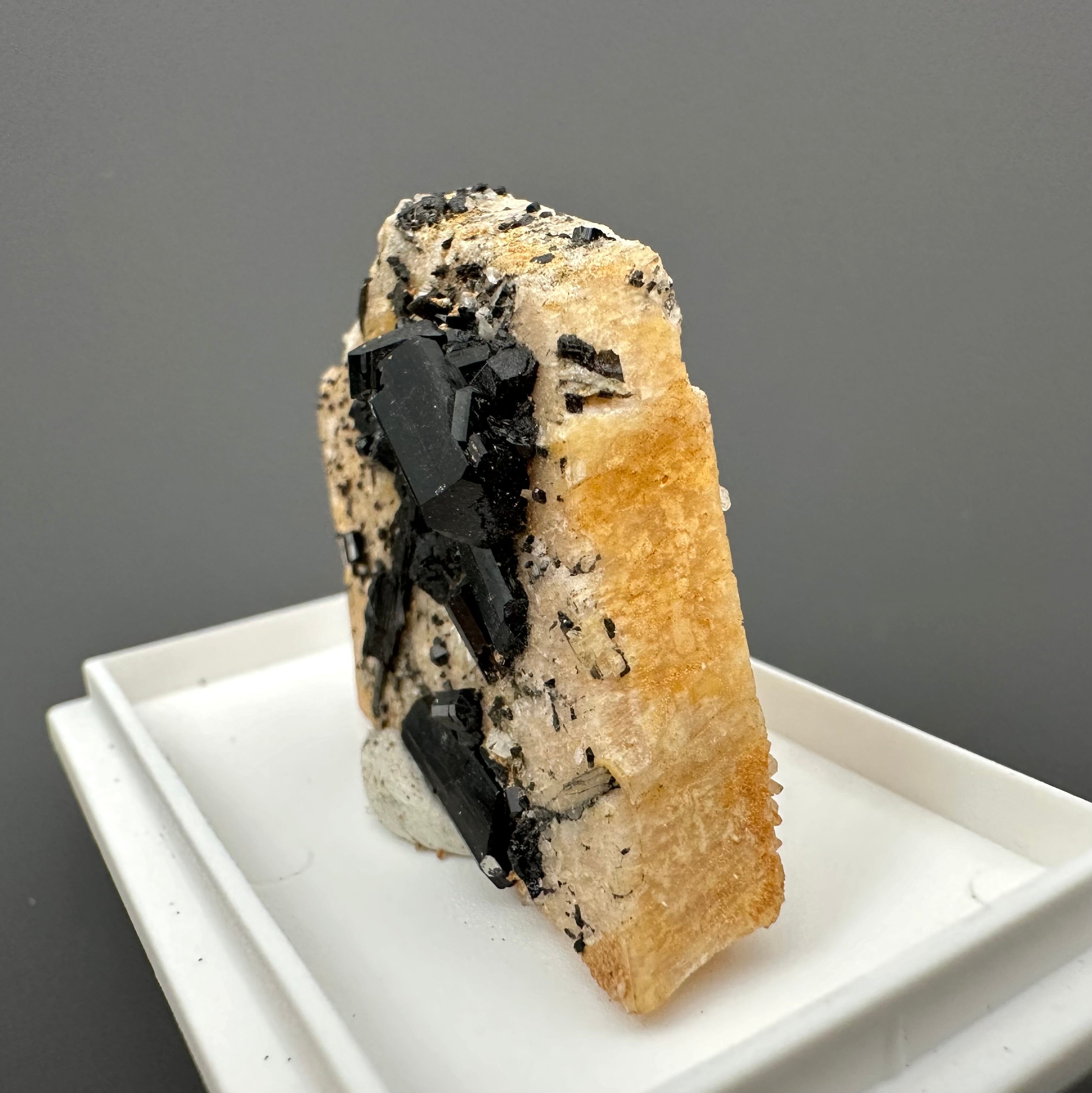 Schorl on albite – Dolni Bory, CZ - SK040