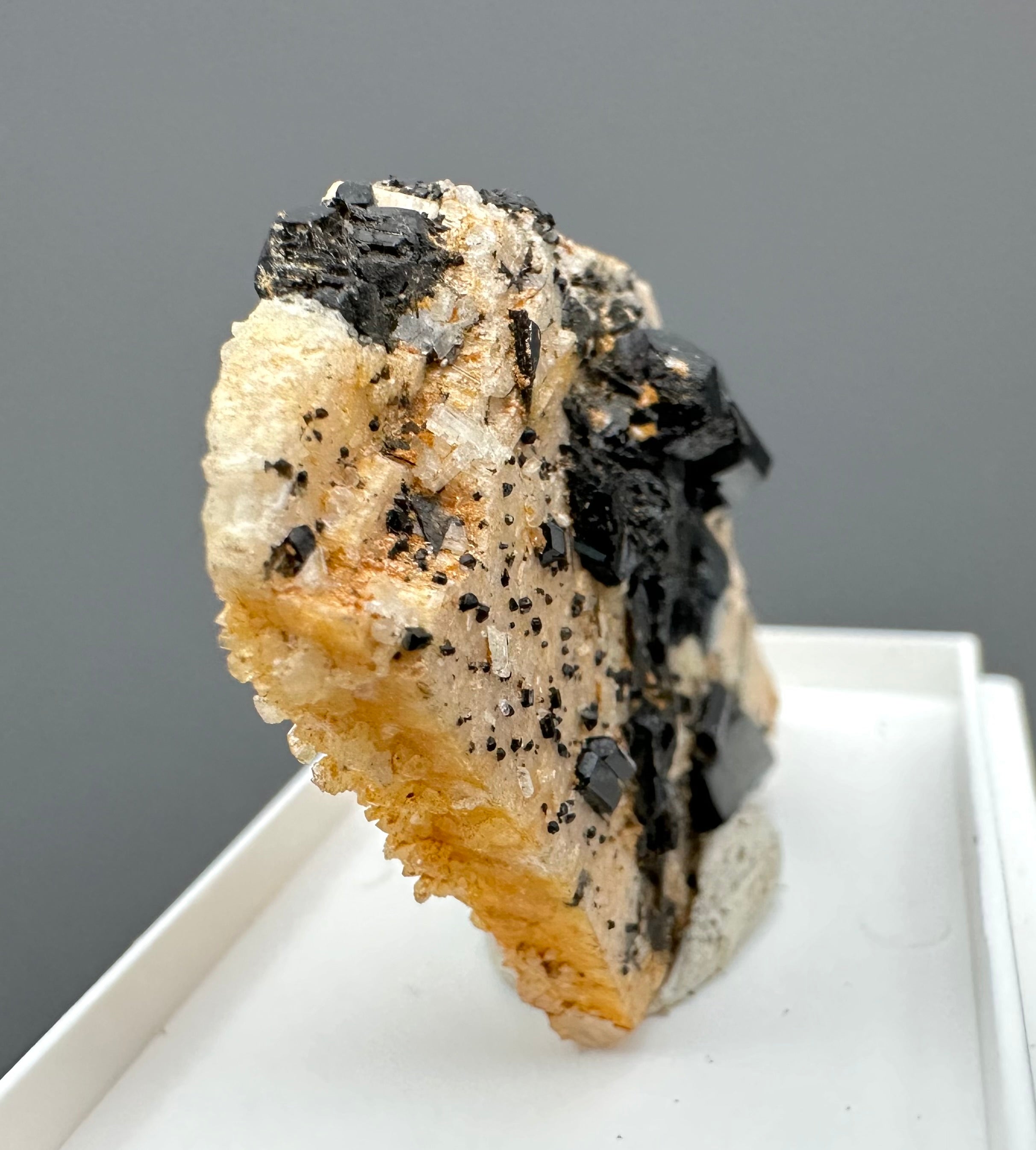 Schorl on albite – Dolni Bory, CZ - SK040