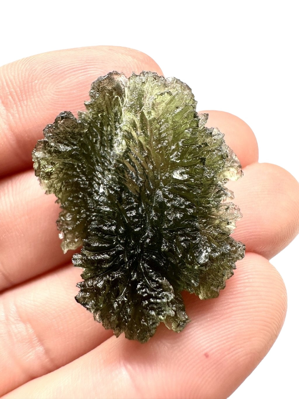 Moldavite – Habri – 8,1g - V1624