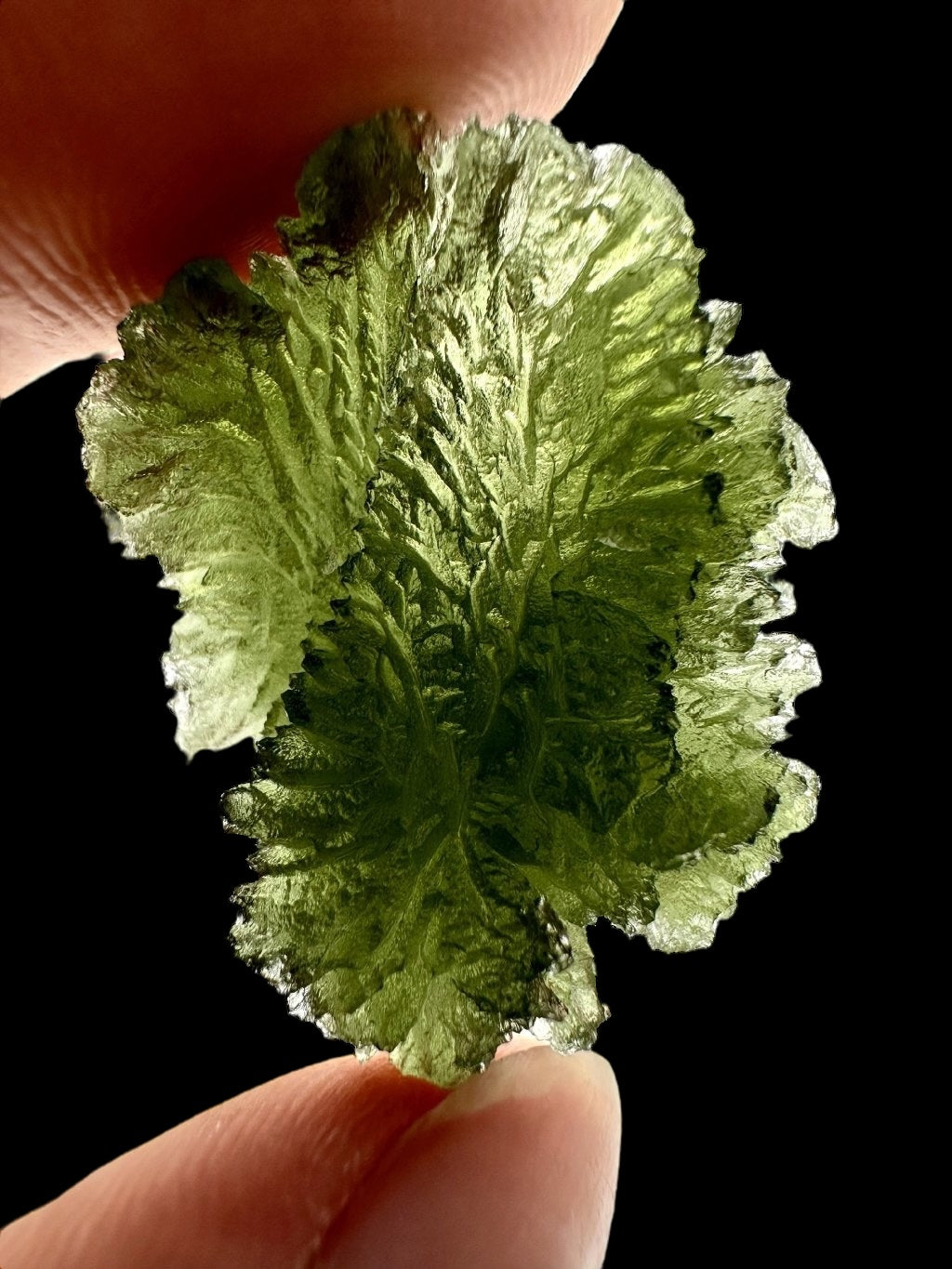 Moldavite – Habri – 8,1g - V1624
