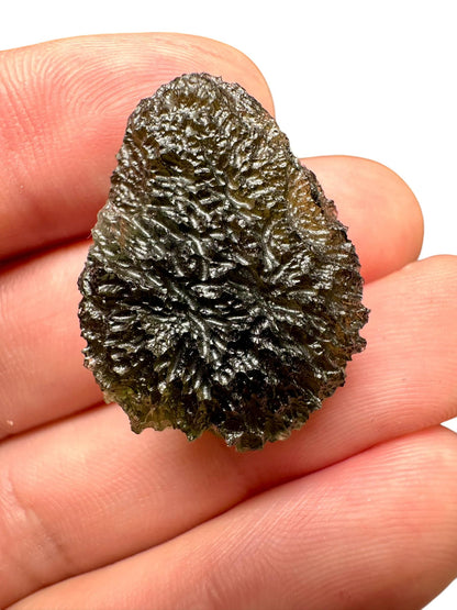 Moldavite - Nesmen - jimka - 7,9g - V727