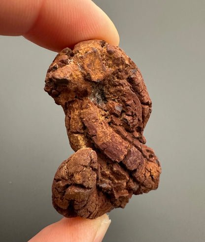 Coprolite - Marovato, - Madagascar - FH005