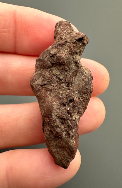 Coprolite - Marovato, - Madagascar - FH008