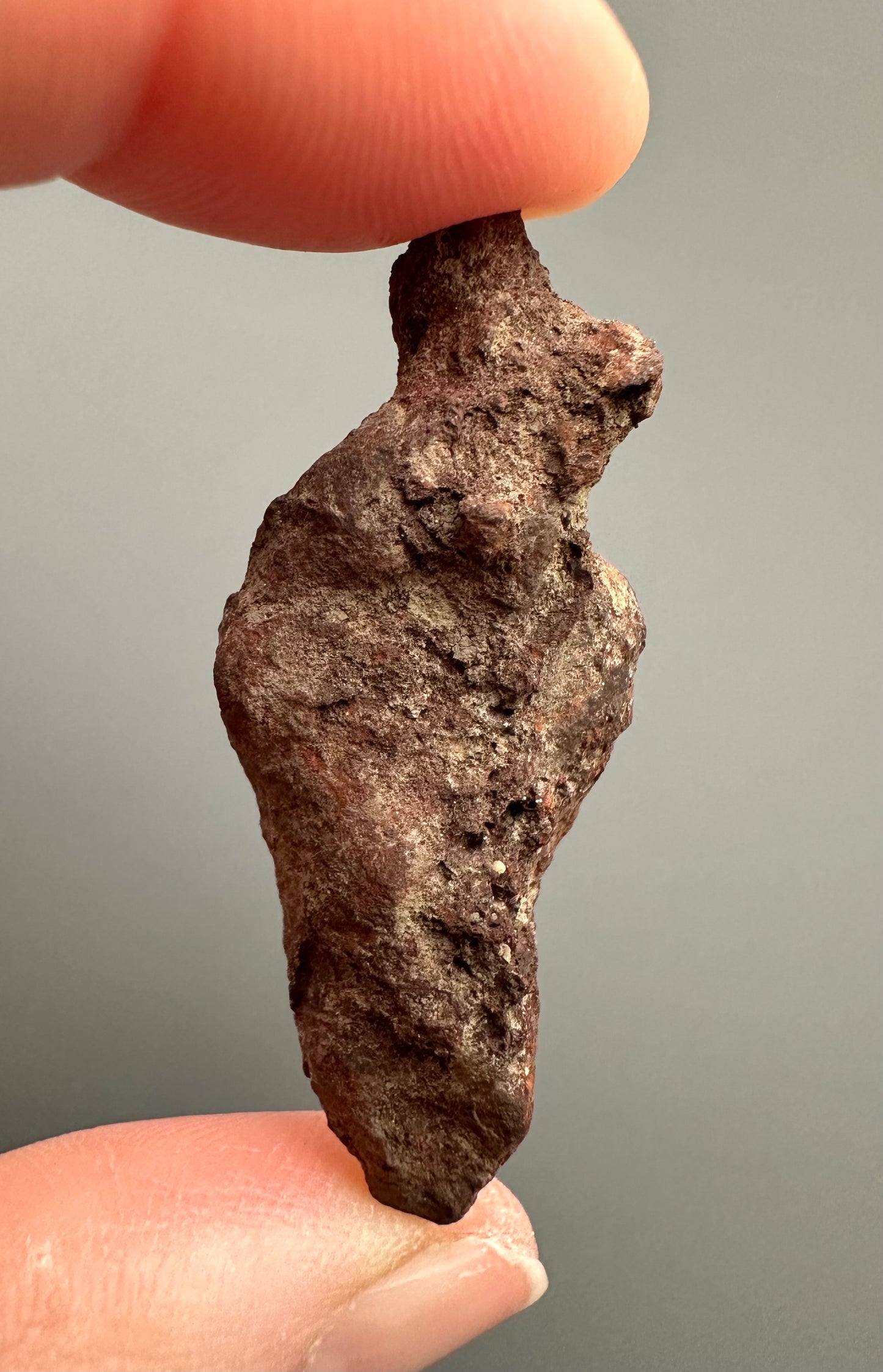 Coprolite - Marovato, - Madagascar - FH008