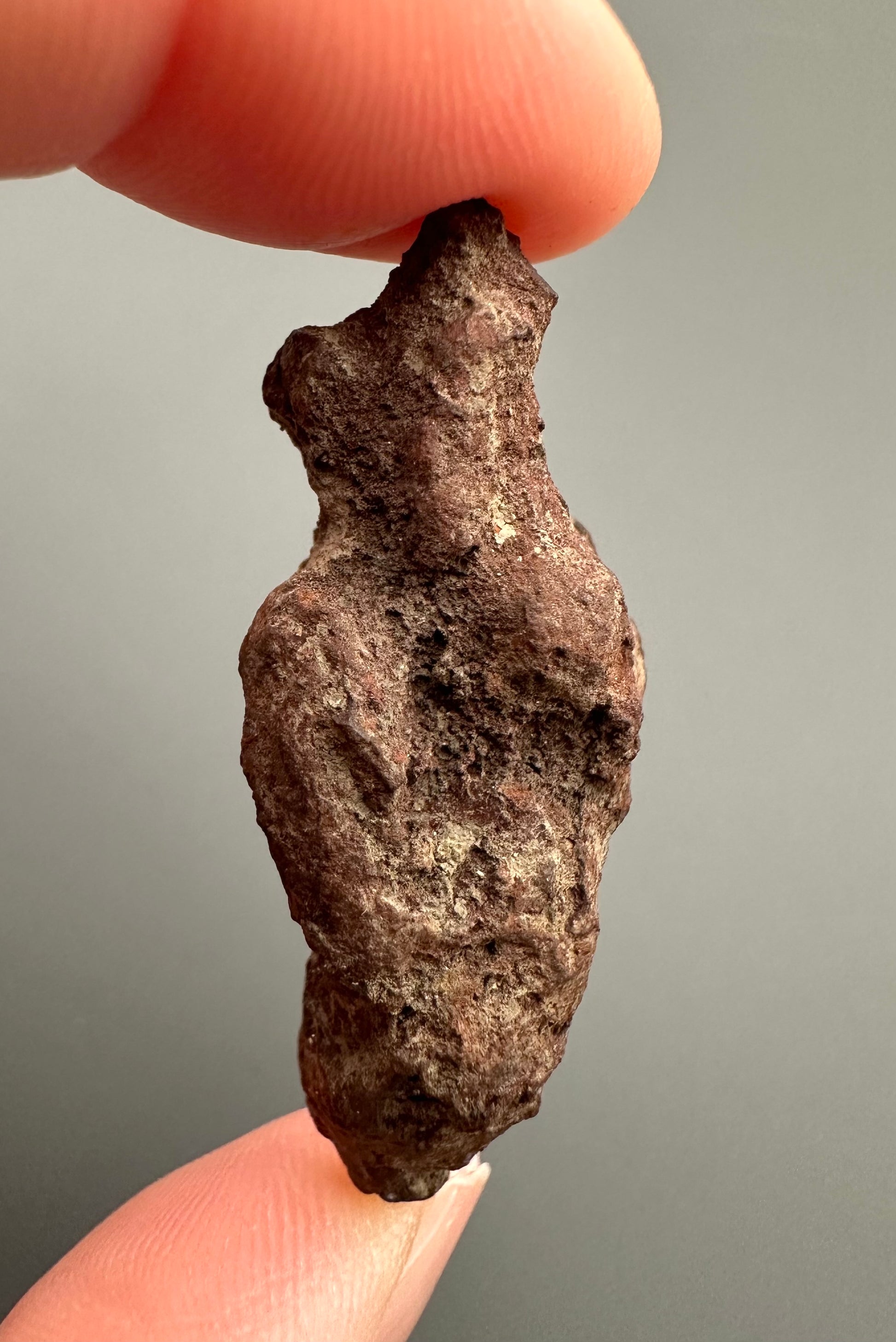 Coprolite - Marovato, - Madagascar - FH008