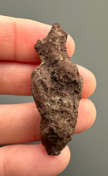 Coprolite - Marovato, - Madagascar - FH008