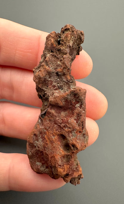 Coprolite - Marovato, - Madagascar - FH012