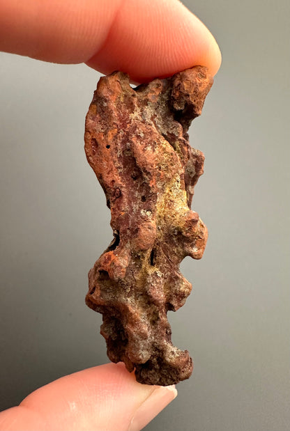 Coprolite - Marovato, - Madagascar - FH012