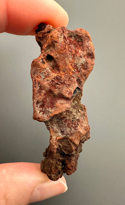 Coprolite - Marovato, - Madagascar - FH012