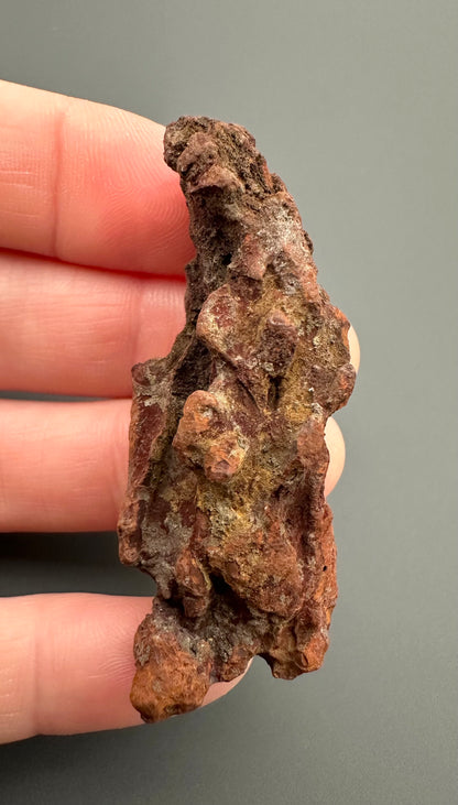 Coprolite - Marovato, - Madagascar - FH012