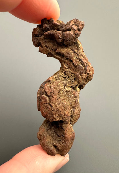 Coprolite - Marovato, - Madagascar - FH014